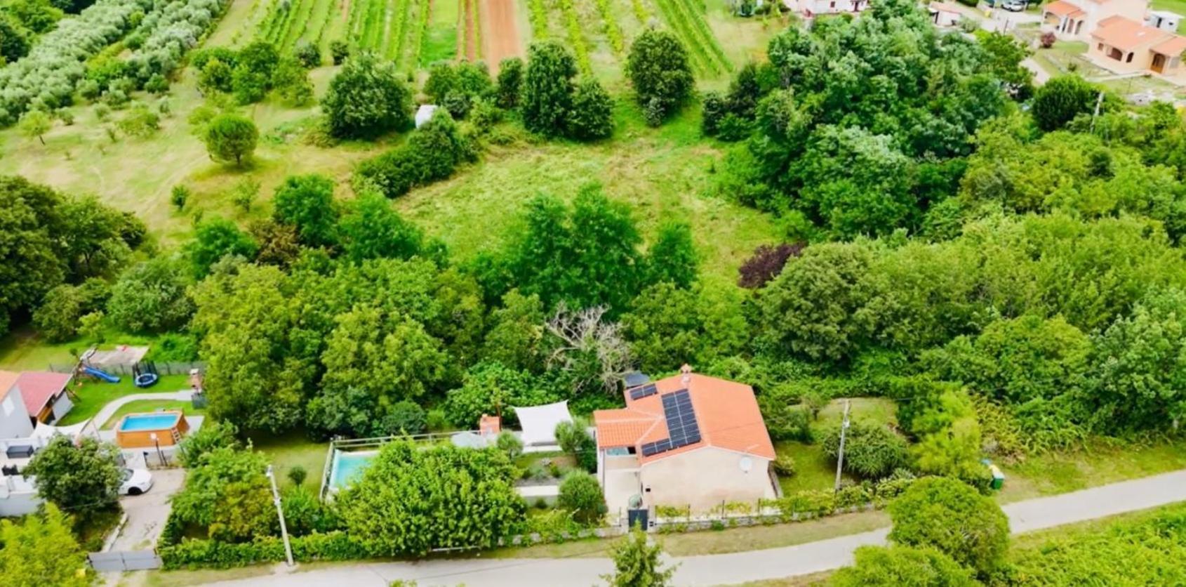 Wellness House Oliva With Heated Salt Water Pool, Sauna & Jakuzzi Labin  Zewnętrze zdjęcie